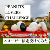 スヌーピー検定受けてみた Peanuts Lovers Challenge Tomoblog